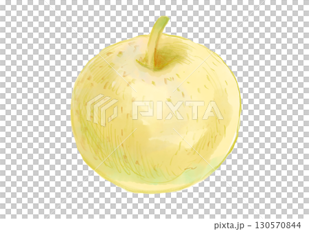美味しそうな採れたての梨の手描き水彩イラスト 130570844