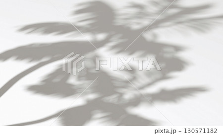 Abstract shadow palm tree on wind sunshine background 130571182