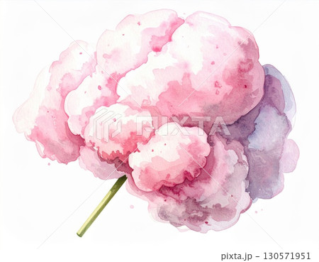 Watercolor Painting of Delicate Pink Cloud with Pastel Hues on White Background Watercolor Painting of Delicate Pink Cloud with Pastel Hues on White Background 130571951