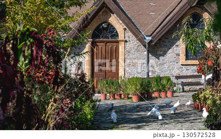 White doves walking on paved courtyard of church of Church of the Archangel Michael in Platanistasa village. Nicosia District, Cyprus 130572528