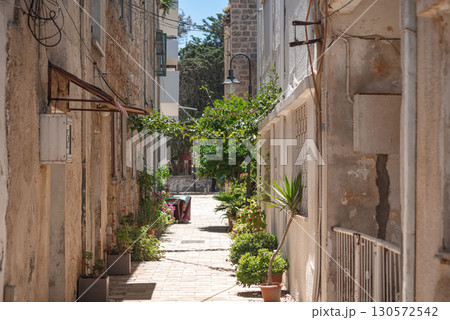 Potted greenery lining narrow passage between aged stone structures in historic famagusta, cyprus Potted greenery lining narrow passage between aged stone structures in historic famagusta, cyprus 130572542