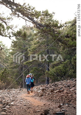Exploring the scenic Artemis nature trail in Troodos mountains, Cyprus 130572766