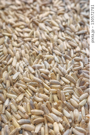 Close up photo of whole milk thistle seeds, selective focus. 130572781