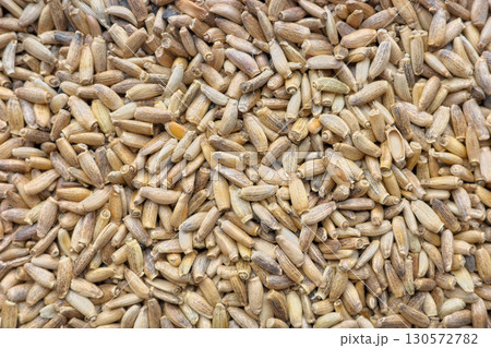 Close up photo of whole milk thistle seeds, selective focus. 130572782