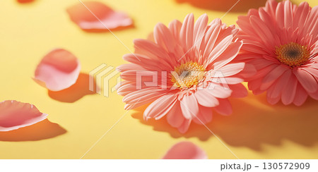 Peach Gerbera Daisies  Petals Vibrant Floral Background 130572909