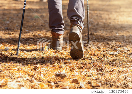 Cropped image of man hiking with trekking poles, forest background, back view 130573493