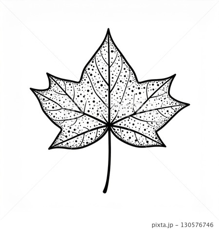 Detailed Black And White Maple Leaf Line Art Illustration Detailed Black And White Maple Leaf Line Art Illustration 130576746