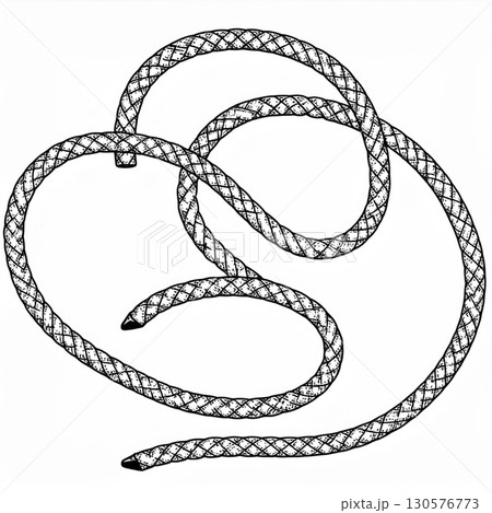 Coiled Rope Line Art Illustration 130576773