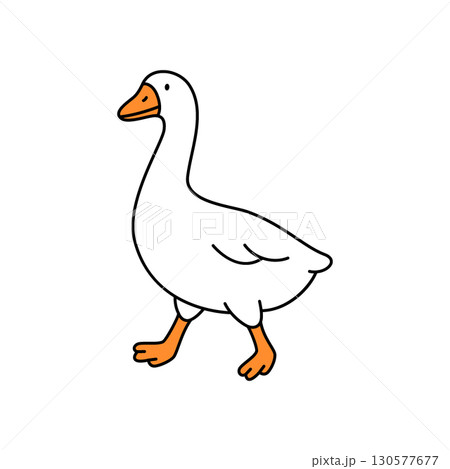 Walking goose in cartoon style, one foot raised in motion. Clean vector illustration Walking goose in cartoon style, one foot raised in motion. Clean vector illustration 130577677