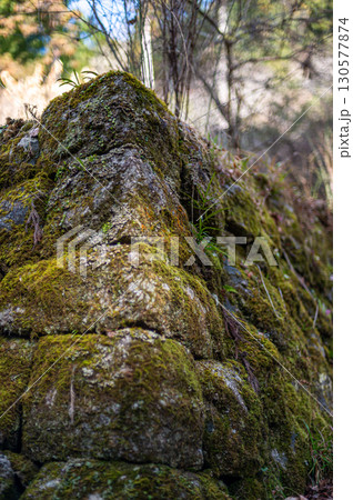 王滝渓谷 苔むす石垣 130577874