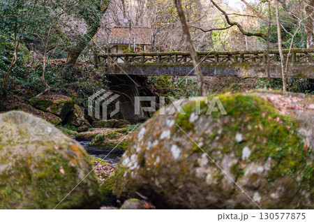 王滝渓谷 130577875