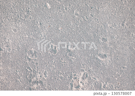Close-up texture of foam block. Porous texture of stone. Macro photography 130578007