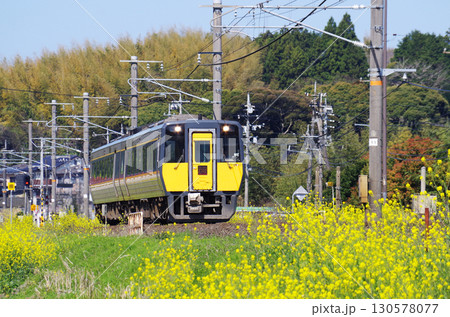 黄色い菜の花が満開の山陰本線をキハ187系ディーゼル特急スーパーまつかぜ号が駆け抜ける光景 130578077