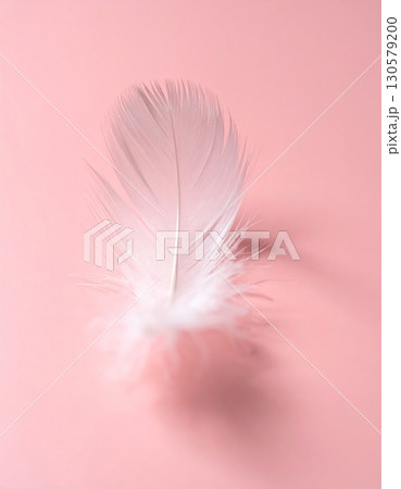 White Feather on Pink Background White Feather on Pink Background 130579200