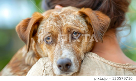 Heartwarming Moment of a Loving Pet Dog with Its Owner at an Animal Shelter Adoption Event Today 130579710