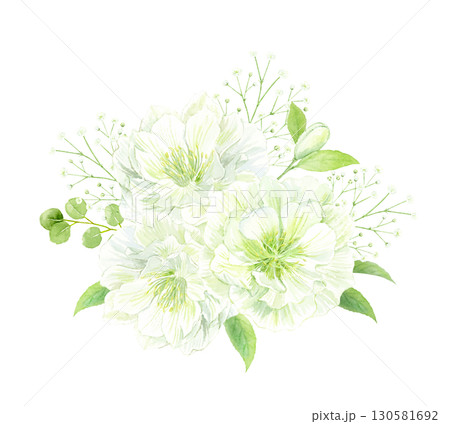 白いクリスマスローズダブルのブーケの水彩イラスト 130581692