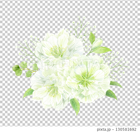 白いクリスマスローズダブルのブーケの水彩イラスト 130581692