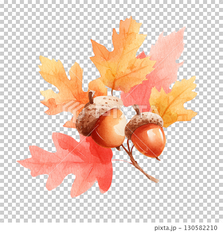 水彩風どんぐりと紅葉のイラスト 秋の植物素材 130582210