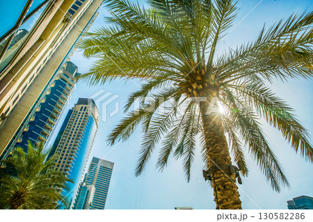 DUBAI - skyscrapers and palm tree DUBAI - skyscrapers and palm tree 130582286