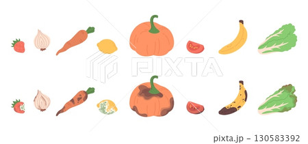 Rotten fresh vegetables and fruits. Farm products, seasonal harvest. Spoiled carrots pumpkin banana tomatoes onions salad. Ingredients for cooking, vector set Rotten fresh vegetables and fruits. Farm products, seasonal harvest. Spoiled carrots pumpkin banana tomatoes onions salad. Ingredients for cooking, vector set 130583392