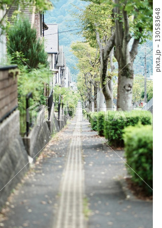 静かな住宅街の緑に囲まれた歩道 静かな住宅街の緑に囲まれた歩道 130583648
