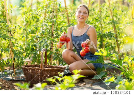 Young woman is working in garden between beds, picking ripe red tomatoes Young woman is working in garden between beds, picking ripe red tomatoes 130584101