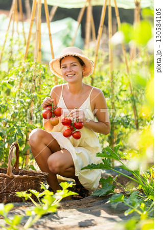 Young woman with tomato harvest in cottage garden 130584105