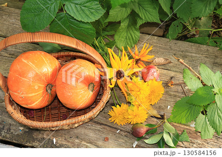 Autumn background with seasonal berries, pumpkins in a basket and autumn nature flowers on wooden boards, copy space, flat lay. Happy Thanksgiving Concept, Selective Focus., Harvesting Autumn Harvest Autumn background with seasonal berries, pumpkins in a basket and autumn nature flowers on wooden boards, copy space, flat lay. Happy Thanksgiving Concept, Selective Focus., Harvesting Autumn Harvest 130584156