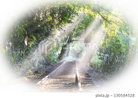 光芒が差し込む廃線跡　倉吉線 130584528