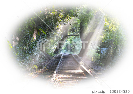 光芒が差し込む廃線跡　倉吉線 130584529