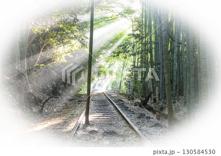 光芒が差し込む廃線跡　倉吉線 130584530