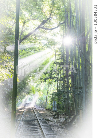 光芒が差し込む廃線跡 倉吉線 光芒が差し込む廃線跡 倉吉線 130584531