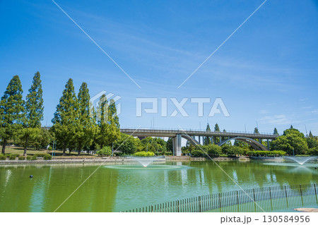 城北公園のメタセコイア並木　大阪市 130584956