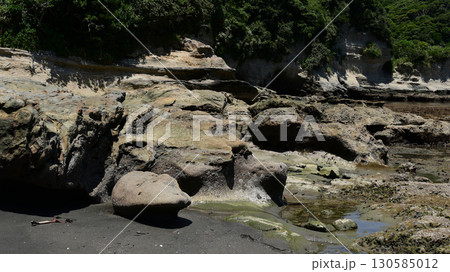 岩場 海辺 磯 岩場 海辺 磯 130585012