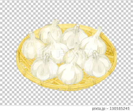 Garlic on a bamboo colander. Hand-drawn watercolor illustration of vegetables and condiments. 130585245