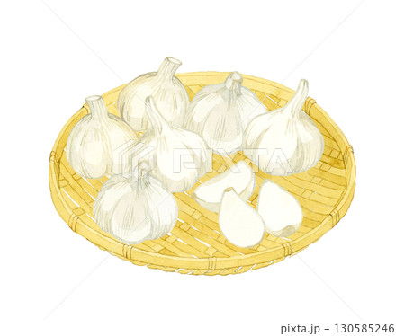 竹ざるに乗ったニンニク 野菜・薬味の手描き水彩イラスト素材 竹ざるに乗ったニンニク 野菜・薬味の手描き水彩イラスト素材 130585246