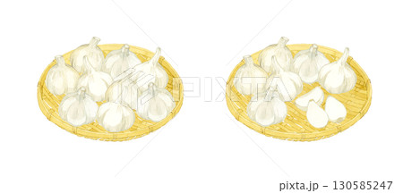 竹ざるに乗ったニンニクのセット　野菜・薬味の手描き水彩イラスト素材 130585247