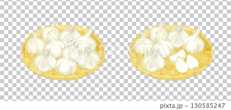 竹ざるに乗ったニンニクのセット　野菜・薬味の手描き水彩イラスト素材 130585247