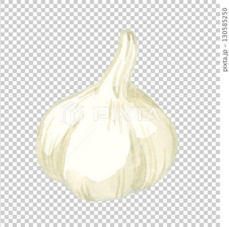 Garlic (single item) Hand-drawn watercolor illustration of vegetables and condiments 130585250