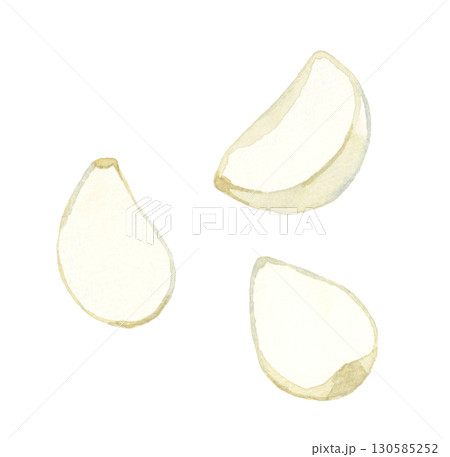皮を剥いたニンニク　野菜・薬味の手描き水彩イラスト素材 130585252