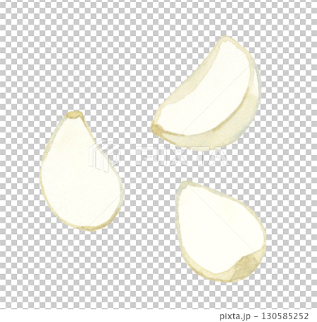Peeled garlic - hand-drawn watercolor illustration of vegetables and condiments 130585252