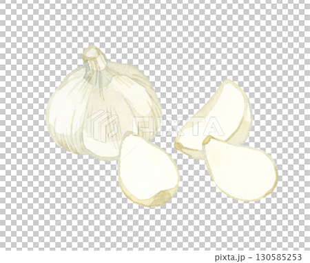 ニンニク　野菜・薬味の手描き水彩イラスト素材 130585253