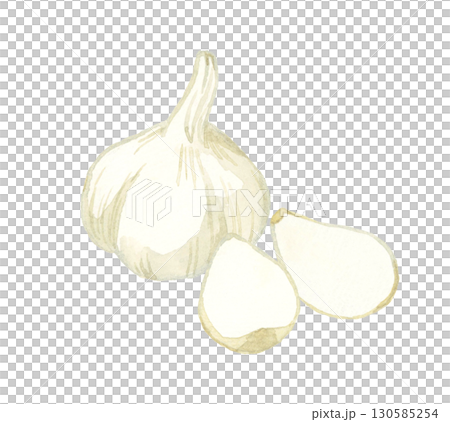 Garlic - Hand-drawn watercolor illustration of vegetables and condiments 130585254