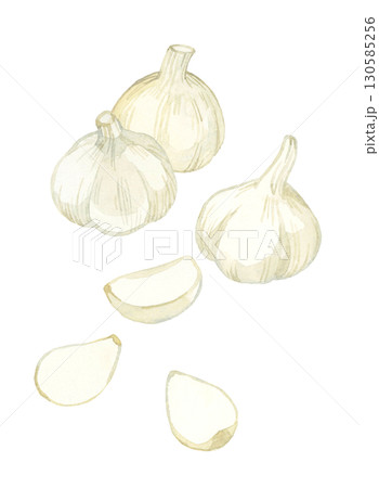 ニンニクのセット　野菜・薬味の手描き水彩イラスト素材 130585256