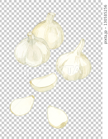ニンニクのセット　野菜・薬味の手描き水彩イラスト素材 130585256