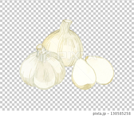ニンニク　野菜・薬味の手描き水彩イラスト素材 130585258