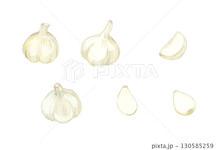 ニンニクのセット　野菜・薬味の手描き水彩イラスト素材 130585259