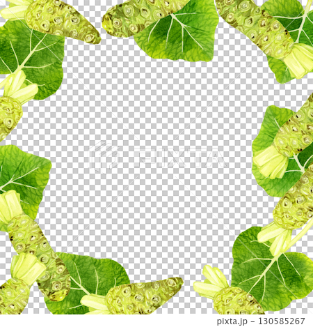 フレッシュなワサビと葉ワサビのフレーム 野菜・薬味の手描き水彩イラスト背景素材 フレッシュなワサビと葉ワサビのフレーム 野菜・薬味の手描き水彩イラスト背景素材 130585267
