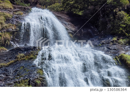 日本の滝百選大川の滝　屋久島国立公園(春 130586364
