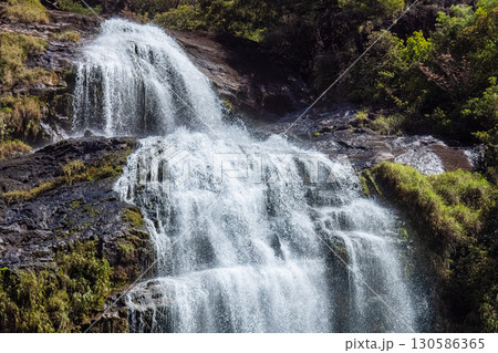 日本の滝百選大川の滝　屋久島国立公園(春 130586365